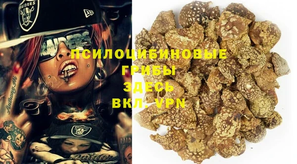круглые Алзамай